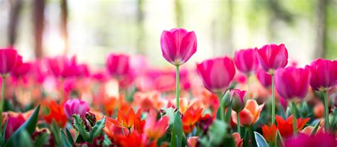 Spring Box Water Development 的图像结果