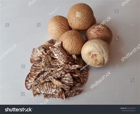 Supari Areca Nut Betel Nut Food Stock Photo 1622753773 | Shutterstock