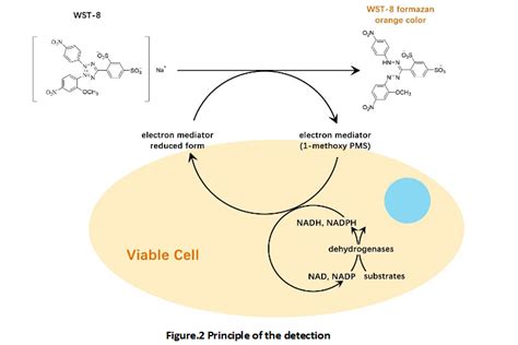 Image result for PyBOP Reagent