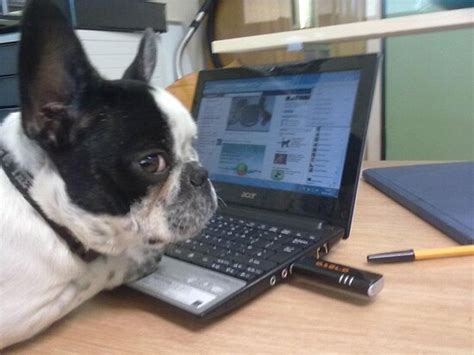 The 10 Best German Restaurants in Bad Fallingbostel - Tripadvisor