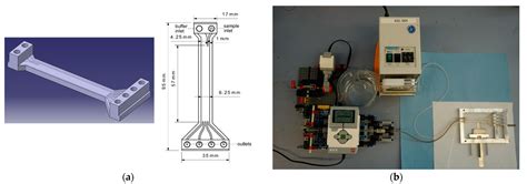Magnetophoretic Cell Sorting: Comparison of Different 3D-Printed ...