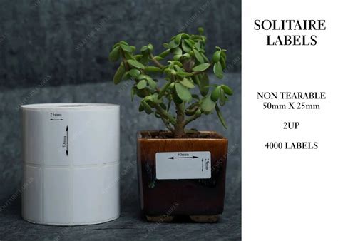 Rectangular & Square Labels - 50 x 25mm Silver Color Nt Sticker, Labels ...