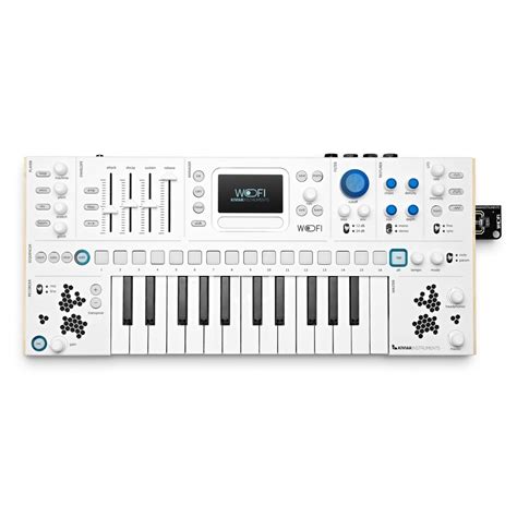 Image result for Polyphonic Instruments