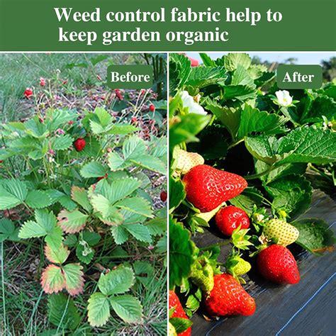Buy AGTEK Garden Weed Barrier Landscape Fabric 3.8oz 4x50 FT Heavy-Duty ...