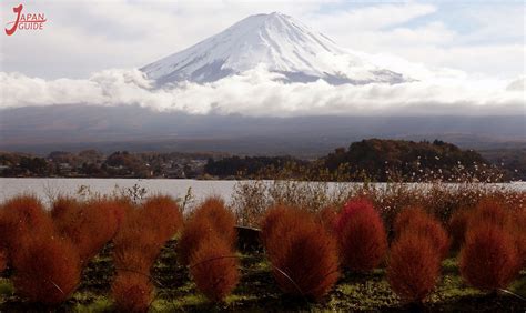 Kawaguchiko Natural Living Center - Japan Guide