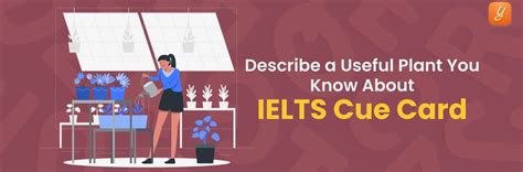 Describe a Useful Plant You Know About - IELTS Cue Card
