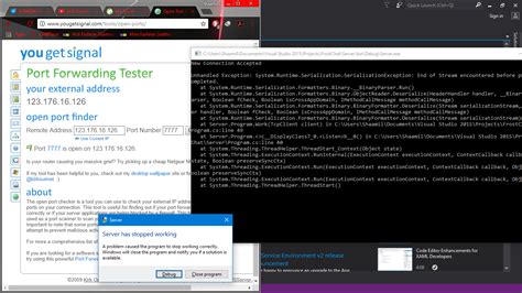 TCP Client Code C 的图像结果