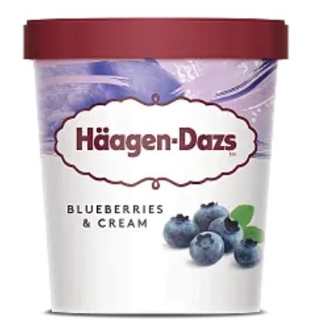 Blueberries and Cream Pint Häagen-Dazs – JITCO