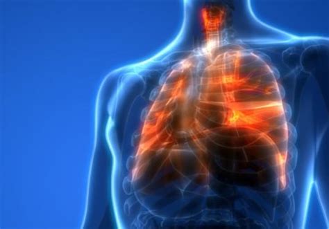 How to check the health of the lungs?