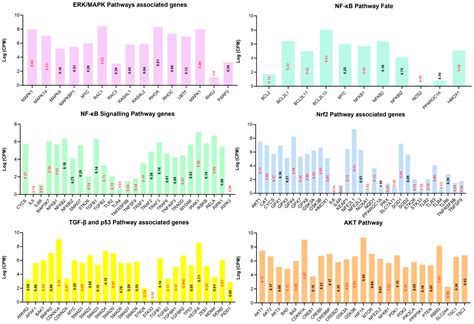 Transcriptome Reveals Granulosa Cells Coping through Redox ...