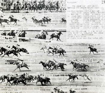 Racing: Horsing for pleasure & profit - India Today