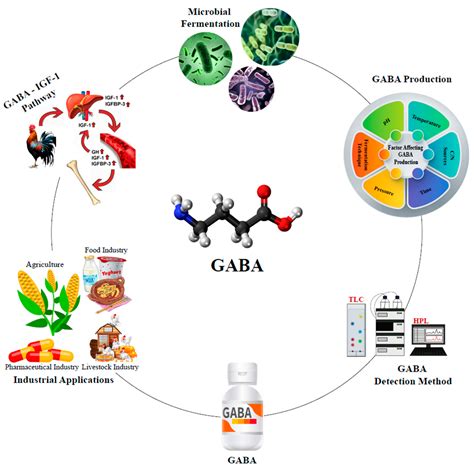 The Impact of Fermented Gamma-Aminobutyric Acid on Poultry Growth ...