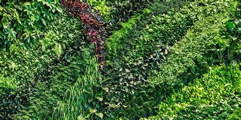 Foundry III Living Wall - Vertical Garden with Green Wall Plants