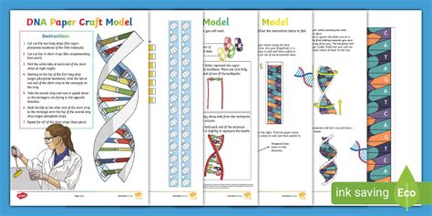 Image result for DNA Models Made Easy