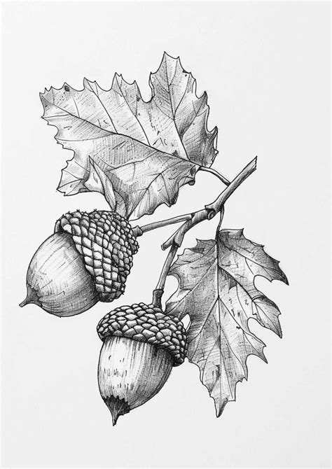 70 Fun Fall Things to Draw: Get Inspired for Autumn Creativity! 🍁🎨 - Artsydee - Drawing ...