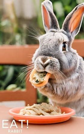 EAT RABBIT (Japanese Edition) eBook : AI SHOBOU: Amazon.in: Kindle Store