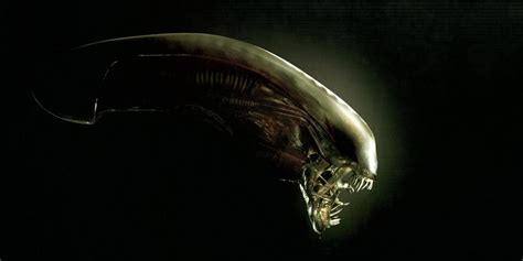 Image result for Alien Series