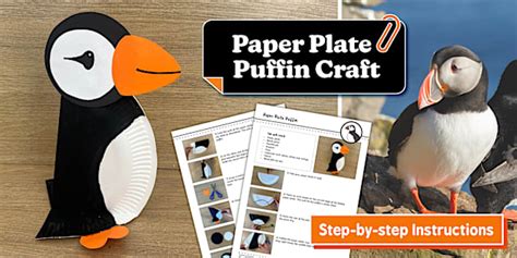 Paper Plate Puffin Craft (teacher made) - Twinkl