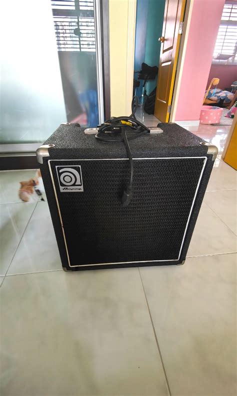 Image result for Using the Effects Loop On Ampeg BA-110