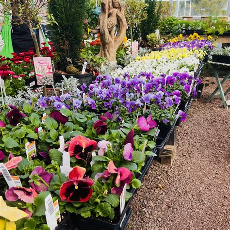 This Week at Gardner’s – Gardner's Landscape Nursery