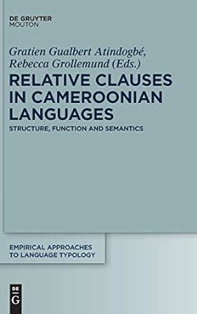Buy Relative Clauses in Cameroonian Languages: Structure, Function and ...
