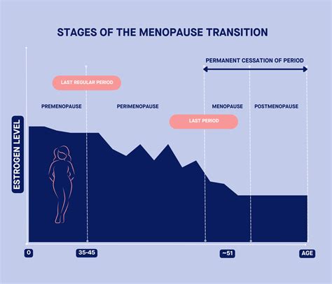 Exploring the connection between menopause and the brain