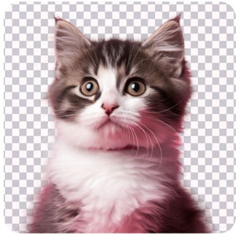 Ai 扣背景 的图像结果