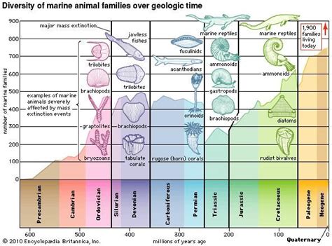 Late Devonian Extinction 的图像结果