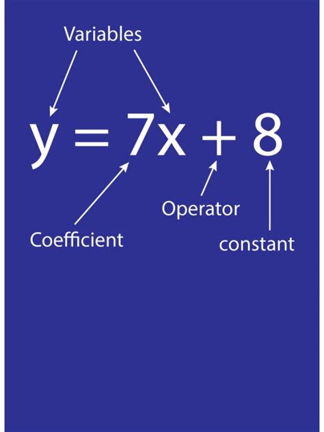 Polynomials Examples Math 的图像结果