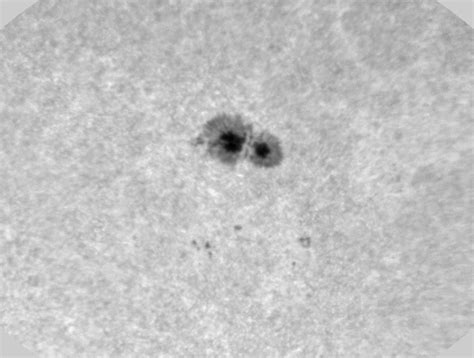 Daily MAST Data Products