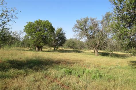 W.T. Waggoner Estate Ranch | Chas S. Middleton