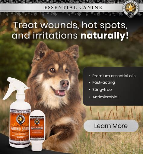 Understanding Reverse Sneezing in Dogs | Animal Wellness Magazine
