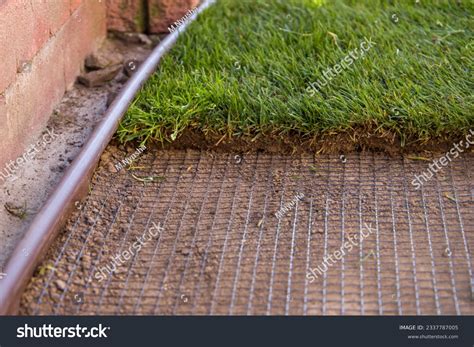 Repel Moles 的图像结果