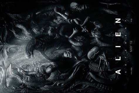 Image result for Alien Covenant Shaw