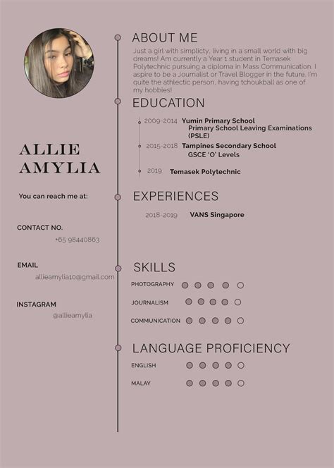 Resume Tutorial 的图像结果