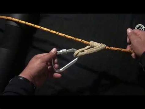Image result for Program Control Rd3