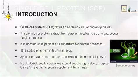 Single cell protein | PPTX