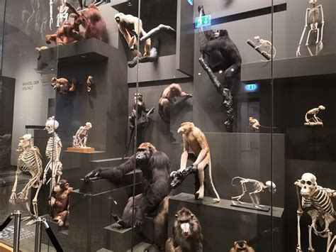 Hessisches Landesmuseum Darmstadt - 2019 What to Know Before You Go ...