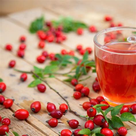 Rosehip Tea: Discover Its Amazing Benefits