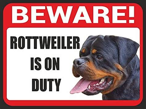 Beware of Rottweiler 12INCH X 9 INCH ON 3MM ACRYLIC : Amazon.in: Office ...