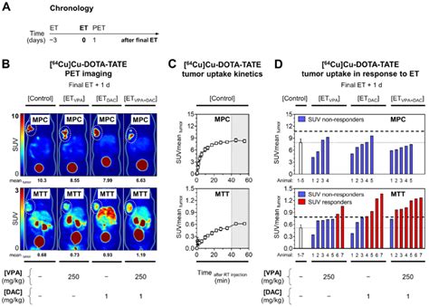Image result for DOTA-TATE Scan