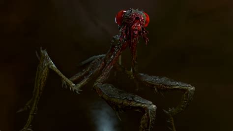 Image result for Mantisx Tutorial Blender