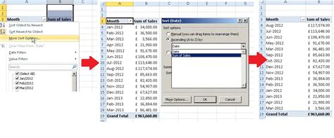 Sort Excel PivotTable 的图像结果