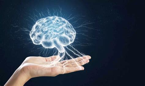 Tirzepatide reduces food intake and appetite, and affects brain ...