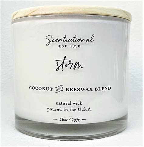 Amazon.com: Scentsational Soaps & Candles Natural Soy Candle Caribbean ...