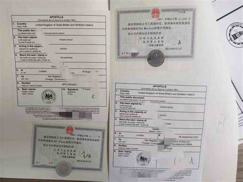 上海留学生哪儿如何办理国外学历认证流程？