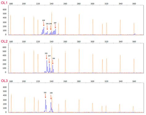 A Robust DNA Isolation Protocol from Filtered Commercial Olive Oil for ...