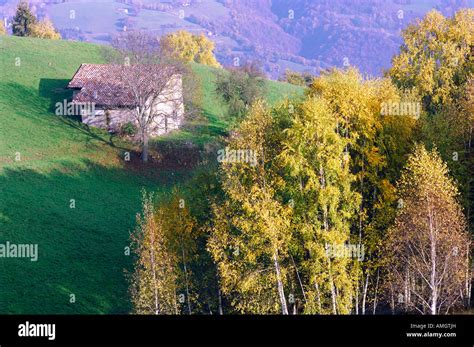 Italy 的图像结果