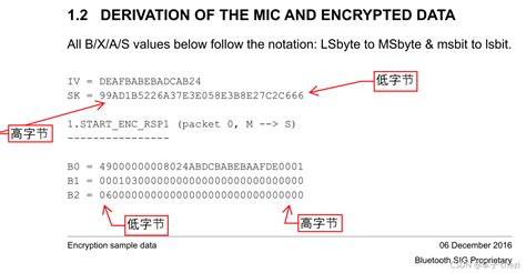 Encrypted Code Example 的图像结果