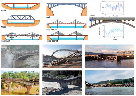 Optimized Wavelet and Wavelet Packet Transform Techniques for Assessing ...